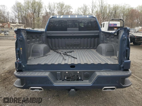 2022 Chevrolet Silverado 1500 High Country with VIN 3GCUYHETXNG204805, listed as a Copart auction lot 51079595 with 41,706 mi miles and Salvage Title. Bid and sale history available at carsss.com. Image 6.