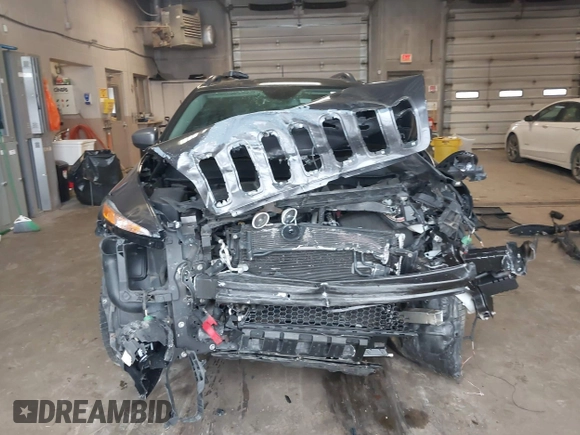 2016 Jeep Cherokee Trailhawk with VIN 1C4PJMBS2GW309042, listed as a IAAI auction lot 41564925 with 125,436 mi miles. Bid and sale history available at carsss.com. Image 13.
