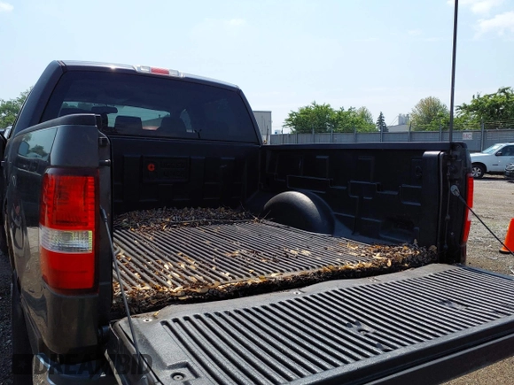 2005 Ford F-150 XLT z VIN 1FTPW14505KE78598, wystawiony jako IAAI lot #42457563 z przebiegiem 84 702 mil mil oraz . Historia ofert i sprzedaży dostępna na DreamBid. Obrazek 13.