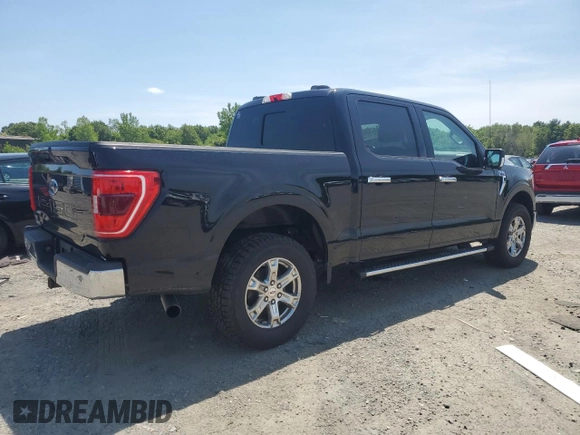 2021 Ford F-150 XL with VIN 1FTFW1E54MKD43407, listed as a Copart auction lot 59912375 with 80,087 mi miles and Salvage title. Bid and sale history available at DreamBid. Image 3.