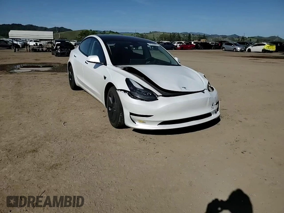 2023 Tesla Model 3 with VIN 5YJ3E1EA6PF423070, listed as a Copart auction lot 52029985 with 19,541 mi miles and Salvage Title. Bid and sale history available at DreamBid. Image 10.