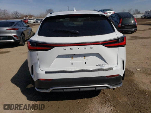 2022 Lexus NX with VIN JTJKGCEZ4N2000346, listed as a Copart auction lot 49198045 with 33,240 mi miles and Clean Title. Bid and sale history available at carsss.com. Image 6.