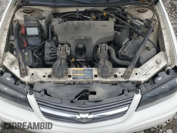 2005 Chevrolet Impala LS z VIN 2G1WH52K459106293, wystawiony jako Copart lot #81150984 z przebiegiem Nie podano mil oraz Szkoda całkowita • Salvage title. Historia ofert i sprzedaży dostępna na DreamBid. Obrazek 11.