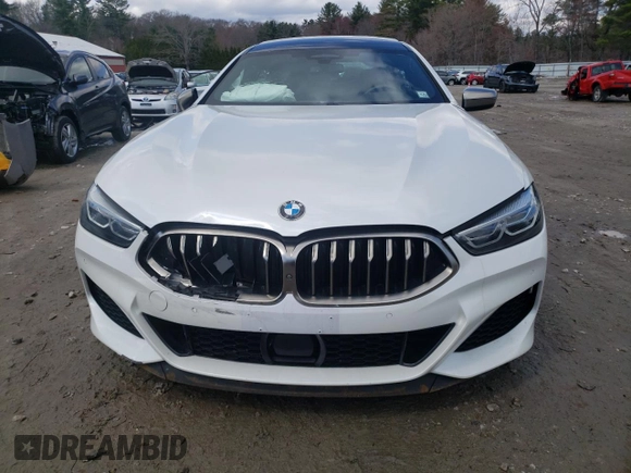 2020 BMW 8 Series M850i with VIN WBAGV8C01LBP48692, listed as a Copart auction lot 52019305 with Not provided miles and Salvage title. Bid and sale history available at DreamBid. Image 5.