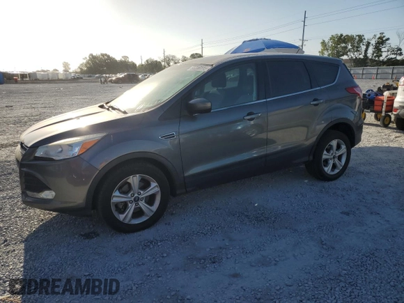 2014 Ford Escape SE with VIN 1FMCU0GXXEUB83262, listed as a Copart auction lot 55216115 with 113,549 mi miles and Clean Title. Bid and sale history available at DreamBid. Image 1.