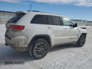 2019 Jeep Grand Cherokee Limited z VIN 1C4RJFBG4KC772536, wystawiony jako Copart lot #44704825 z przebiegiem 141 847 mil mil oraz Szkoda całkowita • Salvage title. Historia ofert i sprzedaży dostępna na DreamBid. Obrazek 3.