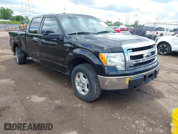 2013 Ford F-150 XL с VIN 1FTFW1EF3DFC14916, выставлен на аукционе IAAI как лот 42343813 с пробегом 217 069 миль миль и . История ставок и продаж доступна на DreamBid. Изображение 1.
