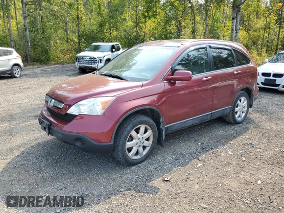 2008 Honda CR-V EX-L with VIN 5J6RE48748L807191, listed as a Copart auction lot 71180704 with 183,001 mi miles and Clean Title. Bid and sale history available at carsss.com. Image 1.