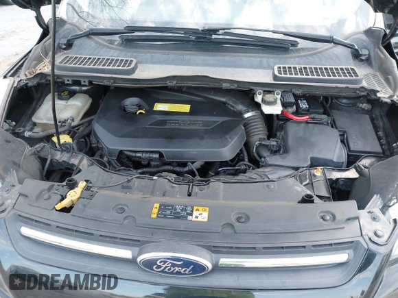 2013 Ford Escape SE with VIN 1FMCU9GXXDUC14903, listed as a IAAI auction lot 41826982 with 166,233 mi miles and . Bid and sale history available at DreamBid. Image 10.