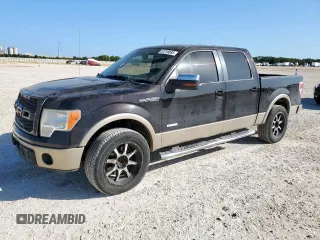 2011 Ford F-150 XL z VIN 1FTFX1EFXBFC54615, wystawiony jako Copart lot #67216065 z przebiegiem 217 107 mil mil oraz Czysty tytuł • Clean title. Historia ofert i sprzedaży dostępna na DreamBid. Obrazek 1.