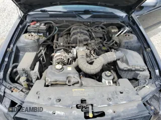 2006 Ford Mustang Standard with VIN 1ZVFT80N465149421, listed as a Copart auction lot 53403905 with 142,222 mi miles and Salvage Title. Bid and sale history available at carsss.com. Image 11.