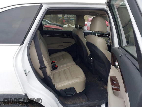 2017 Kia Sorento EX with VIN 5XYPHDA15HG234968, listed as a IAAI auction lot 41663483 with 154,899 mi miles and . Bid and sale history available at carsss.com. Image 8.