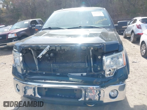 2013 Ford F-150 XL with VIN 1FTFW1EF1DKG37128, listed as a IAAI auction lot 42094406 with 118,881 mi miles. Bid and sale history available at carsss.com. Image 12.