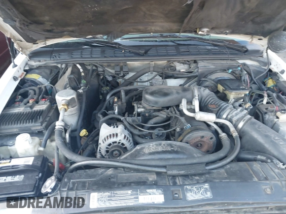 1996 Chevrolet S-10 LS with VIN 1GCDT19W9TK207551, listed as a IAAI auction lot 41369981 with 180,189 mi miles and . Bid and sale history available at DreamBid. Image 10.