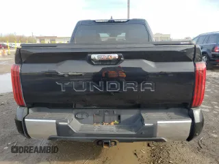 2023 Toyota Tundra Limited with VIN 5TFJA5DB9PX069197, listed as a Copart auction lot 52006175 with 7,396 mi miles and Salvage title. Bid and sale history available at DreamBid. Image 6.