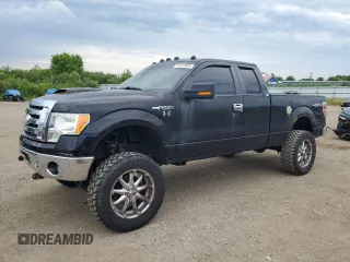 2009 Ford F-150 XL z VIN 1FTPX14V09FA78746, wystawiony jako Copart lot #64223905 z przebiegiem 228 763 mil mil oraz Czysty tytuł • Clean title. Historia ofert i sprzedaży dostępna na DreamBid. Obrazek 1.