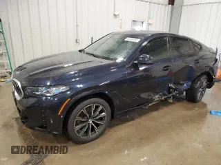2024 BMW X6 xDrive40i with VIN 5UX33EX01R9T16988, listed as a Copart auction lot 48806495 with 0 mi miles and Salvage Title. Bid and sale history available at carsss.com. Image 1.