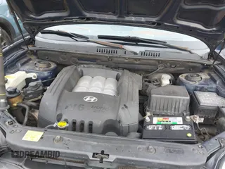 2005 Hyundai Santa Fe GLS with VIN KM8SC73D45U943575, listed as a IAAI auction lot 41676922 with 265,333 mi miles. Bid and sale history available at carsss.com. Image 10.