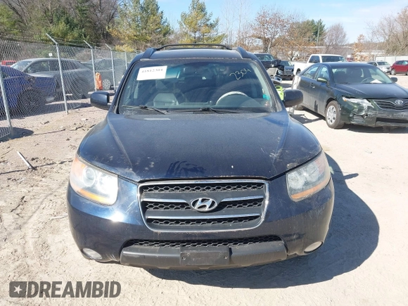 2009 Hyundai Santa Fe SE with VIN 5NMSH73E69H264547, listed as a IAAI auction lot 41812304 with 224,088 mi miles and . Bid and sale history available at DreamBid. Image 12.