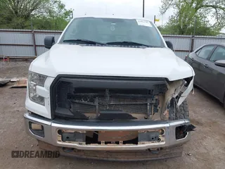 2017 Ford F-150 XL with VIN 1FTFX1EF0HFA09802, listed as a IAAI auction lot 42062781 with 124,279 mi miles. Bid and sale history available at carsss.com. Image 12.