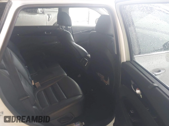 2017 Kia Sorento EX with VIN 5XYPHDA12HG278345, listed as a IAAI auction lot 42024881 with 119,502 mi miles and . Bid and sale history available at carsss.com. Image 8.