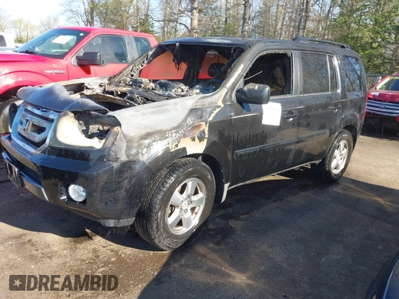 2009 Honda Pilot EX-L with VIN 5FNYF48699B023311, listed as a IAAI auction lot 41981928 with Not Provided miles and . Bid and sale history available at carsss.com. Image 2.