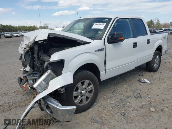 2013 Ford F-150 XL with VIN 1FTFW1EF7DKD34810, listed as a IAAI auction lot 41919083 with 158,531 mi miles. Bid and sale history available at carsss.com. Image 17.