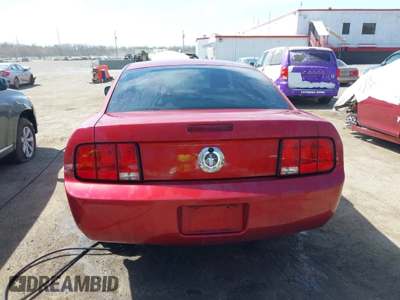 2005 Ford Mustang Deluxe with VIN 1ZVFT80NX55119984, listed as a IAAI auction lot 41921403 with 243,278 mi miles and . Bid and sale history available at DreamBid. Image 16.