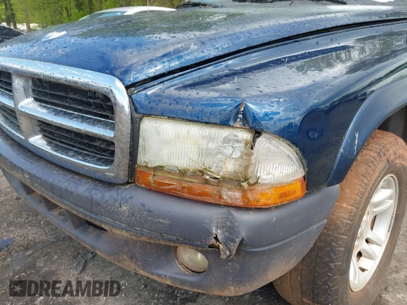 2004 Dodge Dakota Sport with VIN 1D7HL38K34S782067, listed as a IAAI auction lot 42012642 with 113,921 mi miles. Bid and sale history available at carsss.com. Image 12.