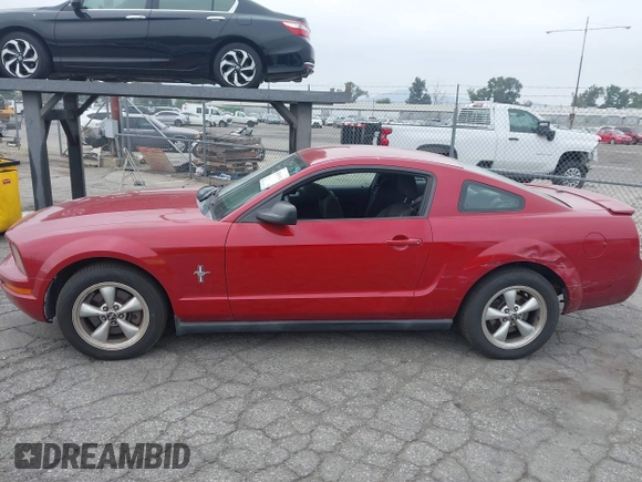 2008 Ford Mustang Deluxe with VIN 1ZVHT80N985100100, listed as a IAAI auction lot 42450593 with 164,853 mi miles and . Bid and sale history available at DreamBid. Image 14.