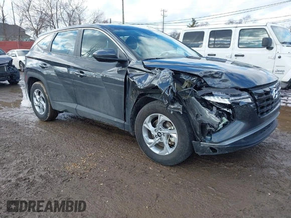 2024 Hyundai Tucson SE with VIN 5NMJA3DE7RH325086, listed as a IAAI auction lot 41445524 with 8,980 mi miles and . Bid and sale history available at DreamBid. Image 1.