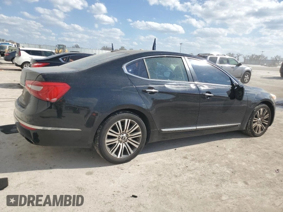 2014 Kia Cadenza Premium with VIN KNALN4D79E5120531, listed as a Copart auction lot 45104745 with Not Provided miles and Salvage Title. Bid and sale history available at DreamBid. Image 3.