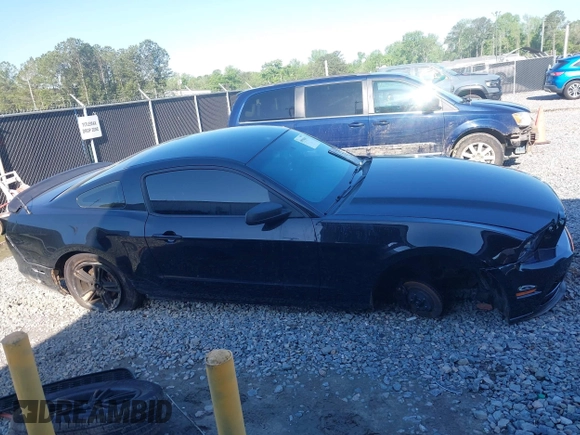 2013 Ford Mustang V6 with VIN 1ZVBP8AM7D5220360, listed as a IAAI auction lot 41994841 with 175,815 mi miles. Bid and sale history available at carsss.com. Image 14.