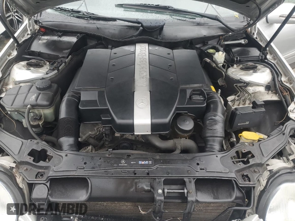 2002 Mercedes-Benz C 230/260/280/320 with VIN WDBRF61J62F291411, listed as a Copart auction lot 49025615 with Not Provided miles and Salvage Title. Bid and sale history available at DreamBid. Image 11.
