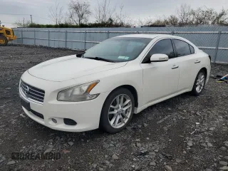 2009 Nissan Maxima 3.5 SV w/Sport Pkg with VIN 1N4AA51E89C842983, listed as a Copart auction lot 51309885 with 80,844 mi miles and Salvage Title. Bid and sale history available at carsss.com. Image 1.