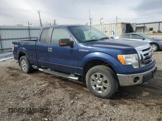 2009 Ford F-150 XL with VIN 1FTPX14V69FB25939, listed as a Copart auction lot 50436685 with 256,699 mi miles and Clean Title. Bid and sale history available at carsss.com. Image 4.