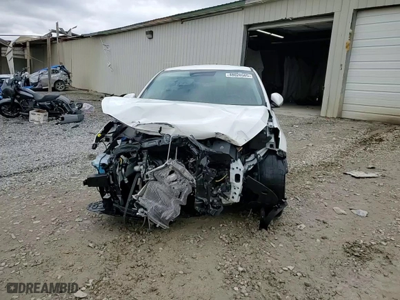 2023 Kia Rio S with VIN 3KPA24AD1PE568265, listed as a Copart auction lot 48020565 with NaN miles and Salvage Title. Bid and sale history available at carsss.com. Image 10.