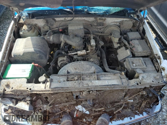 1996 Chevrolet Silverado 1500 with VIN 1GCEC14M5TZ124085, listed as a Copart auction lot 59532234 with 137,619 mi miles and Non Repairable. Bid and sale history available at DreamBid. Image 11.