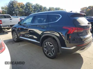 2023 Hyundai Santa Fe Hybrid Limited with VIN 5NMS5DA14PH017113, listed as a Copart auction lot 75675694 with 5,993 mi miles and Salvage Title. Bid and sale history available at carsss.com. Image 2.