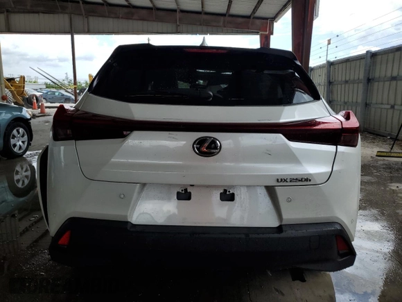 2024 Lexus UX 250h Premium z VIN JTHP6JBH0R2186659, wystawiony jako Copart lot #65626554 z przebiegiem 11 068 mil mil oraz Nie do naprawy • Non repairable. Historia ofert i sprzedaży dostępna na DreamBid. Obrazek 6.
