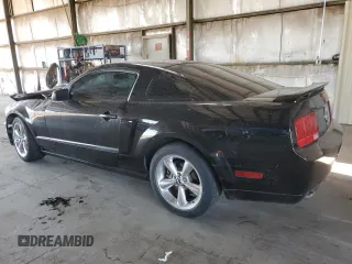 2007 Ford Mustang GT Deluxe with VIN 1ZVHT82H175269324, listed as a Copart auction lot 53124235 with Not Provided miles and Salvage Title. Bid and sale history available at carsss.com. Image 2.