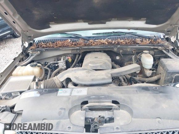 2004 Chevrolet Avalanche Z71 with VIN 3GNEK12T74G334998, listed as a IAAI auction lot 42144586 with 267,992 mi miles and . Bid and sale history available at DreamBid. Image 10.