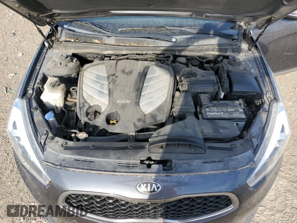 2014 Kia Cadenza Premium with VIN KNALN4D71E5136089, listed as a Copart auction lot 72343514 with 81,616 mi miles and Salvage Title. Bid and sale history available at carsss.com. Image 11.