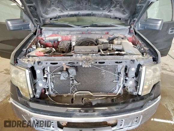 2010 Ford F-150 XL with VIN 1FTEW1E80AFB26785, listed as a Copart auction lot 59383405 with 220,540 mi miles and Clean title. Bid and sale history available at DreamBid. Image 11.