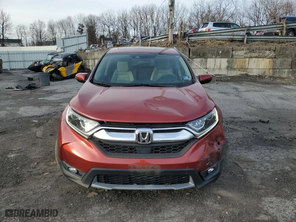 2019 Honda CR-V EX with VIN 2HKRW2H57KH635630, listed as a Copart auction lot 50453585 with 38,338 mi miles and Salvage Title. Bid and sale history available at carsss.com. Image 5.