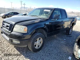 2005 Ford F-150 STX with VIN 1FTRX14WX5NA48994, listed as a Copart auction lot 46695035 with 253,055 mi miles and Salvage Title. Bid and sale history available at carsss.com. Image 1.