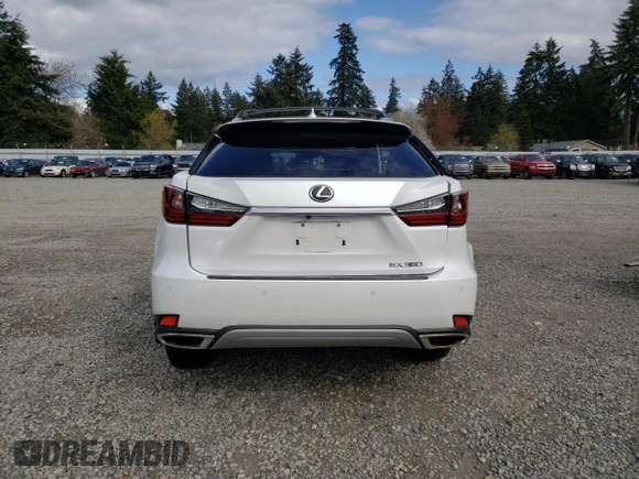 2022 Lexus RX with VIN 2T2HZMDA7NC317656, listed as a Copart auction lot 51829925 with 24,489 mi miles and Salvage Title. Bid and sale history available at carsss.com. Image 6.