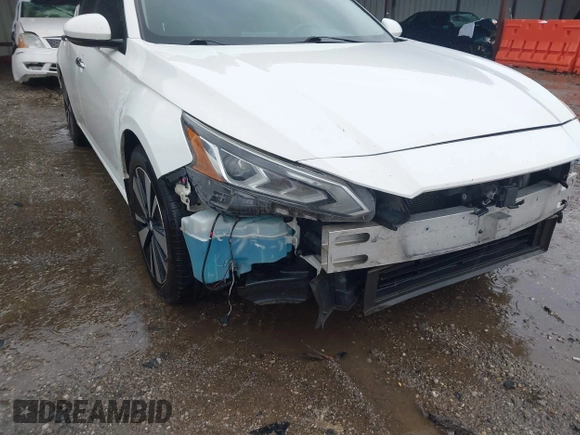 2019 Nissan Altima SV with VIN 1N4BL4DVXKC214904, listed as a IAAI auction lot 42162093 with 294,733 mi miles and . Bid and sale history available at DreamBid. Image 19.