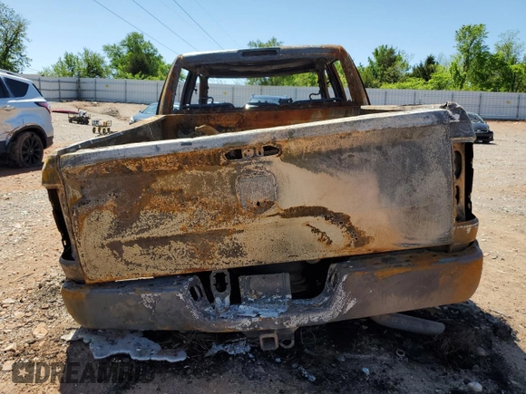 2010 Dodge 1500 Sport with VIN 1D7RV1CT3AS123890, listed as a Copart auction lot 50738225 with Not Provided miles and Non Repairable. Bid and sale history available at carsss.com. Image 6.