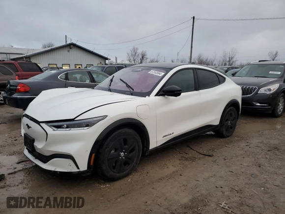 2021 Ford Mustang Mach-E California Route 1 with VIN 3FMTK2R76MMA01865, listed as a Copart auction lot 87242064 with 75,719 mi miles and Salvage Title. Bid and sale history available at DreamBid. Image 1.
